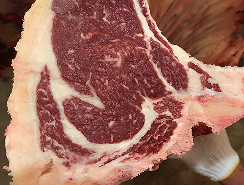 Fresh Wagyu beef in Kalispell and the Flathead Valley